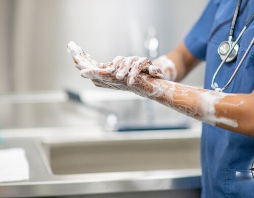 Infection Prevention & Control Program (IPC) – What You Need to Know