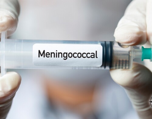 Meningococcal Disease in Florida
